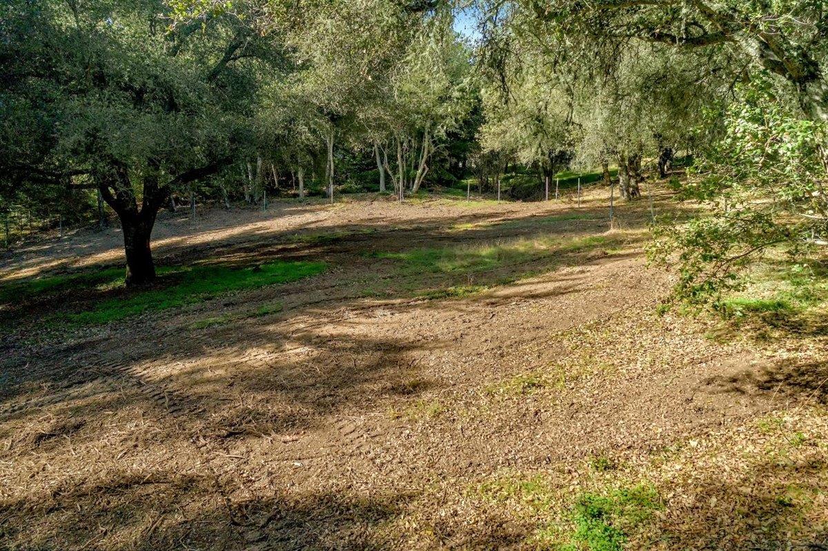 24964 Skyland Ridge Road Los Gatos, CA 95033 - Photo 33 of 36 Gallery Image 33
