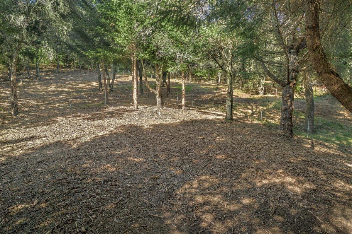 24964 Skyland Ridge Road Los Gatos, CA 95033 - Photo 34 of 36 Gallery Image 34