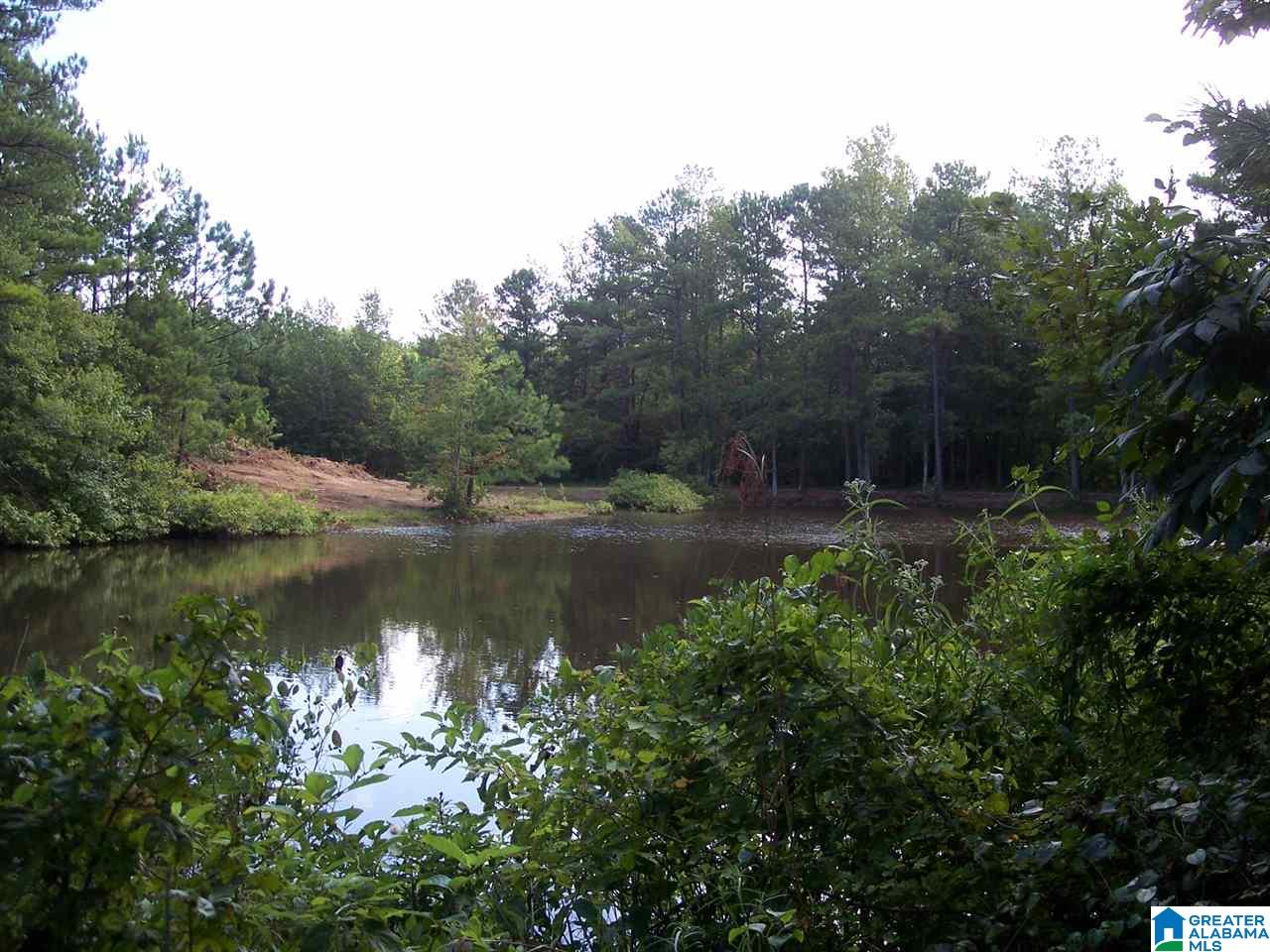 1561 Ross Lake Road Wellington, AL 36279 - Photo 46 of 50