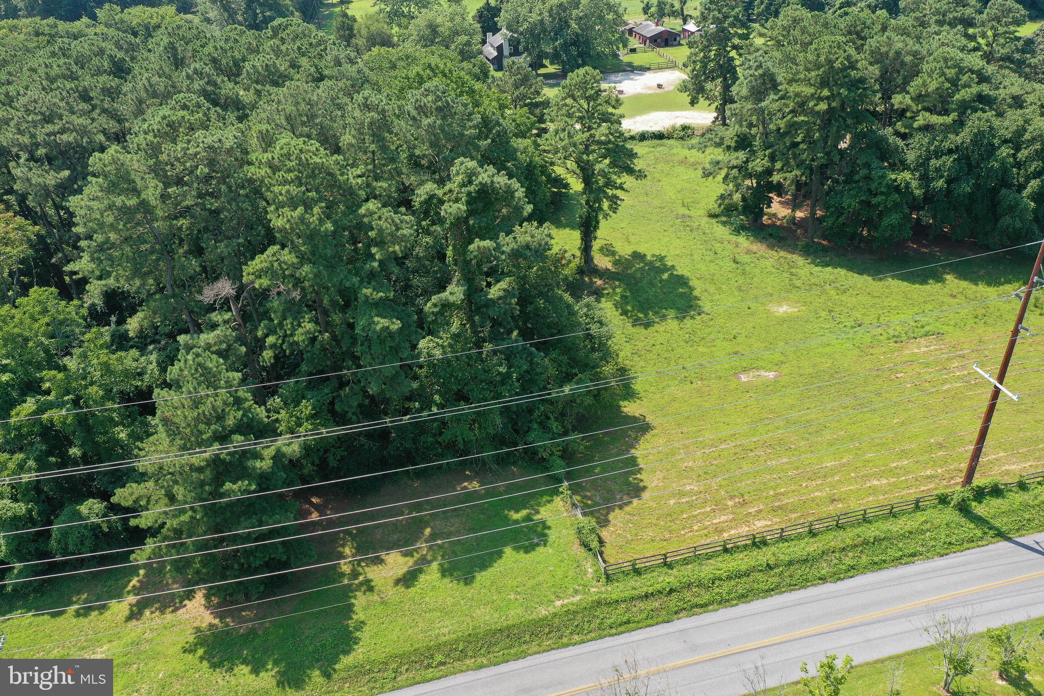 Lot 2 American Legion Road Salisbury, MD 21801 - Photo 5 of 12 a view of yard from deck with large trees