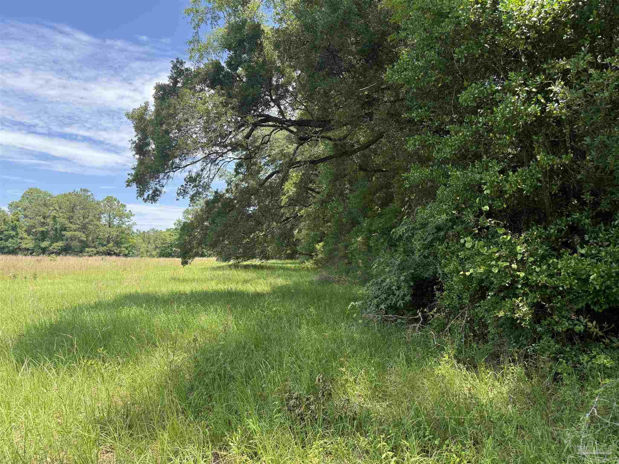 296 Salters Lake Road Century, FL 32535 - Photo 11 of 34