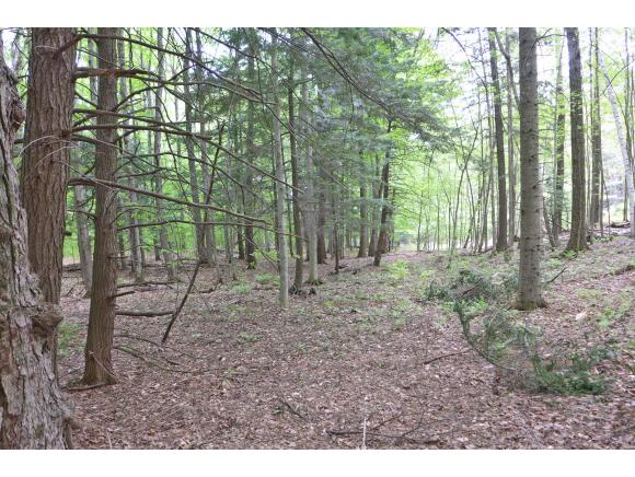 159 Middle Road Barre Town, VT 05654 - Photo 22 of 36
