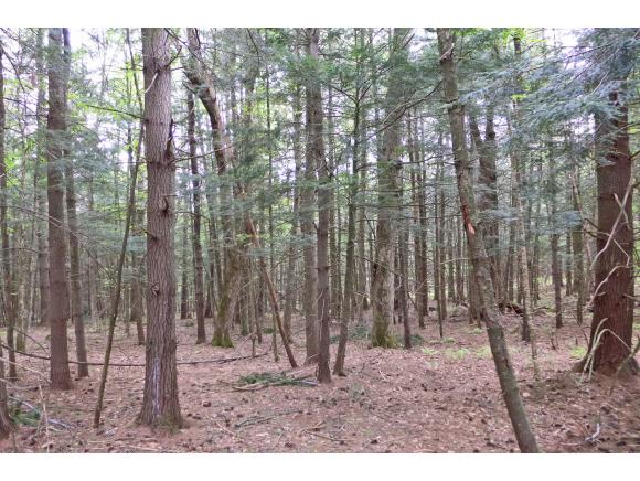 159 Middle Road Barre Town, VT 05654 - Photo 28 of 36