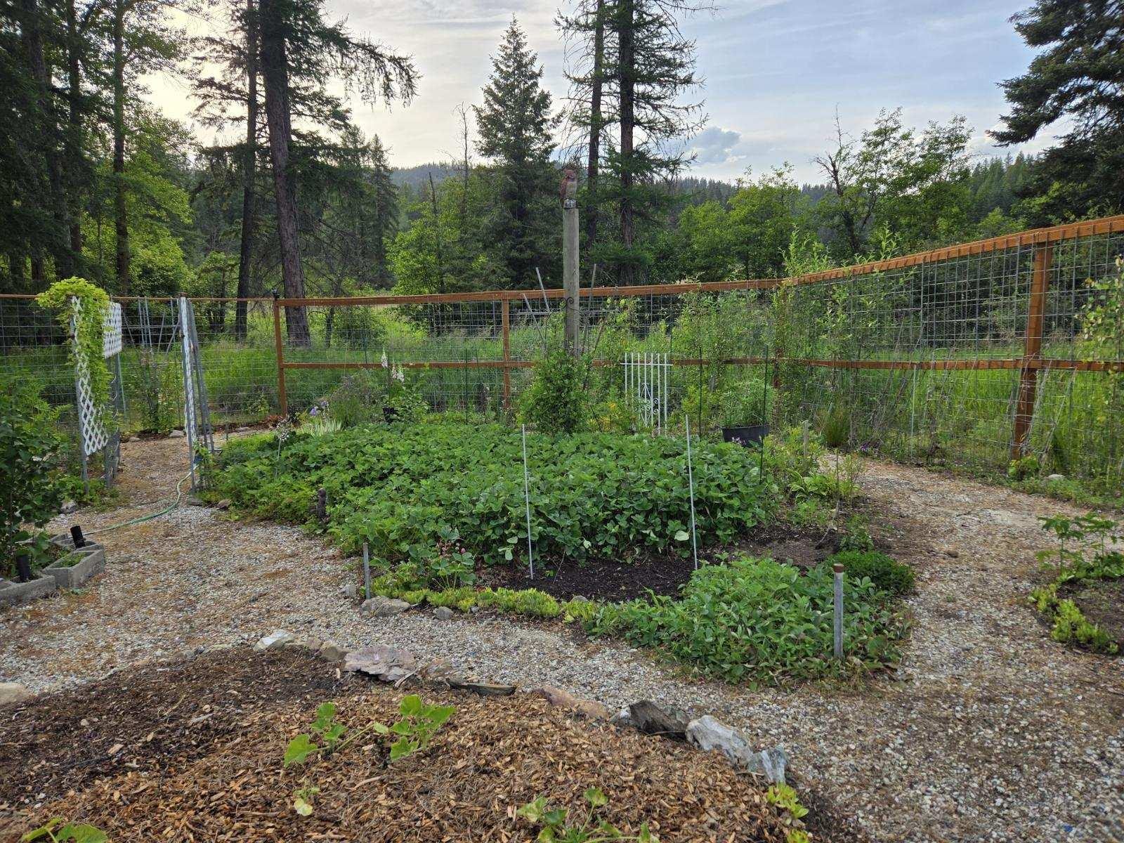 4439 Whittier Road Clayton, WA 99110 - Photo 7 of 49