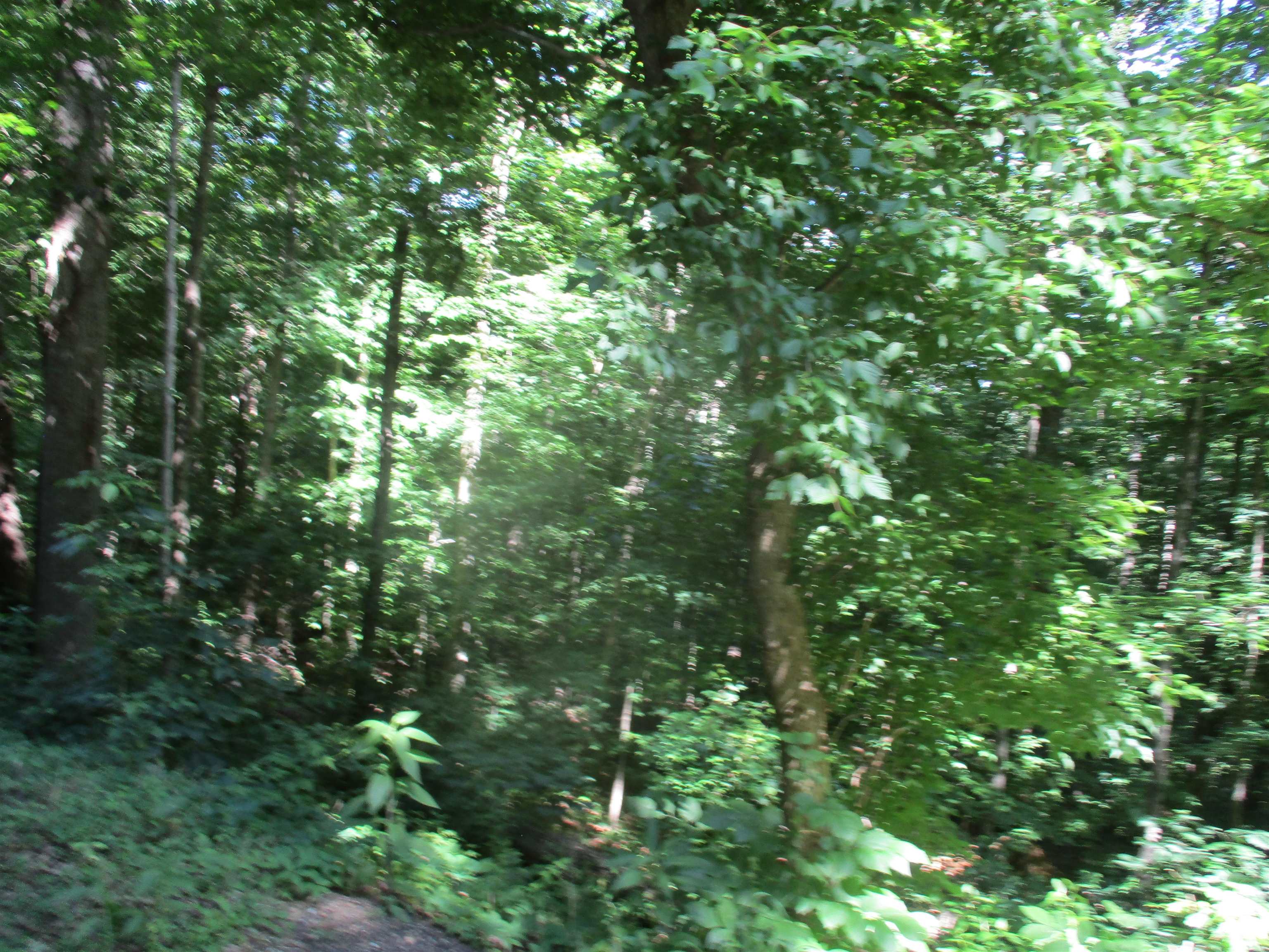 0 State Rt 7 Greenup, KY 41144 - Photo 6 of 8