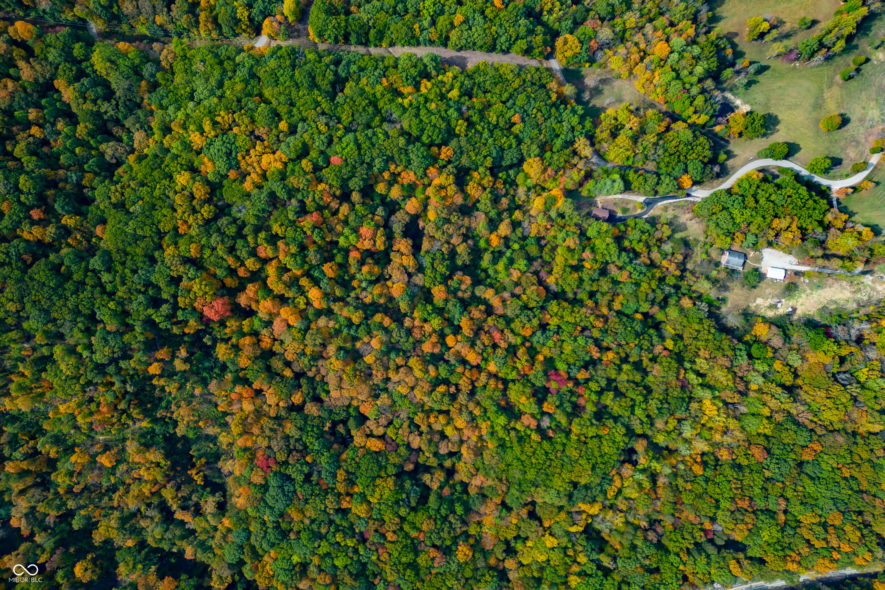 11035 North Old 135 Road Vallonia, IN 47281 - Photo 13 of 30