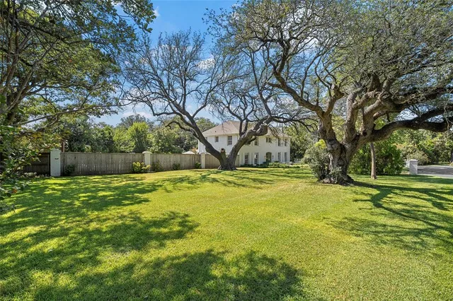 a view of swimming pool with tree in the background