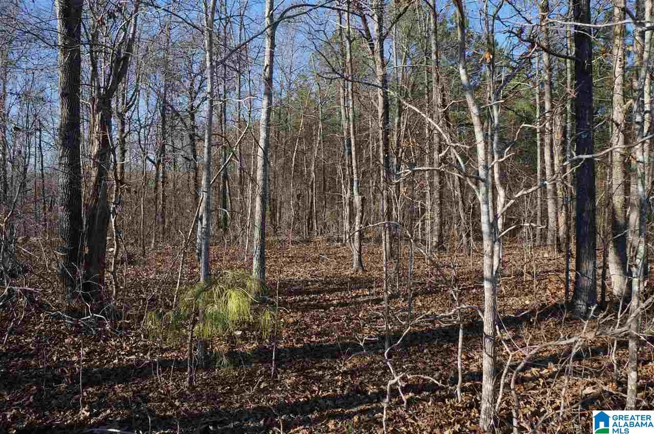 0 Fulton Circle, Unit 4 ACRES Sylacauga, AL 35150 - Photo 5 of 7