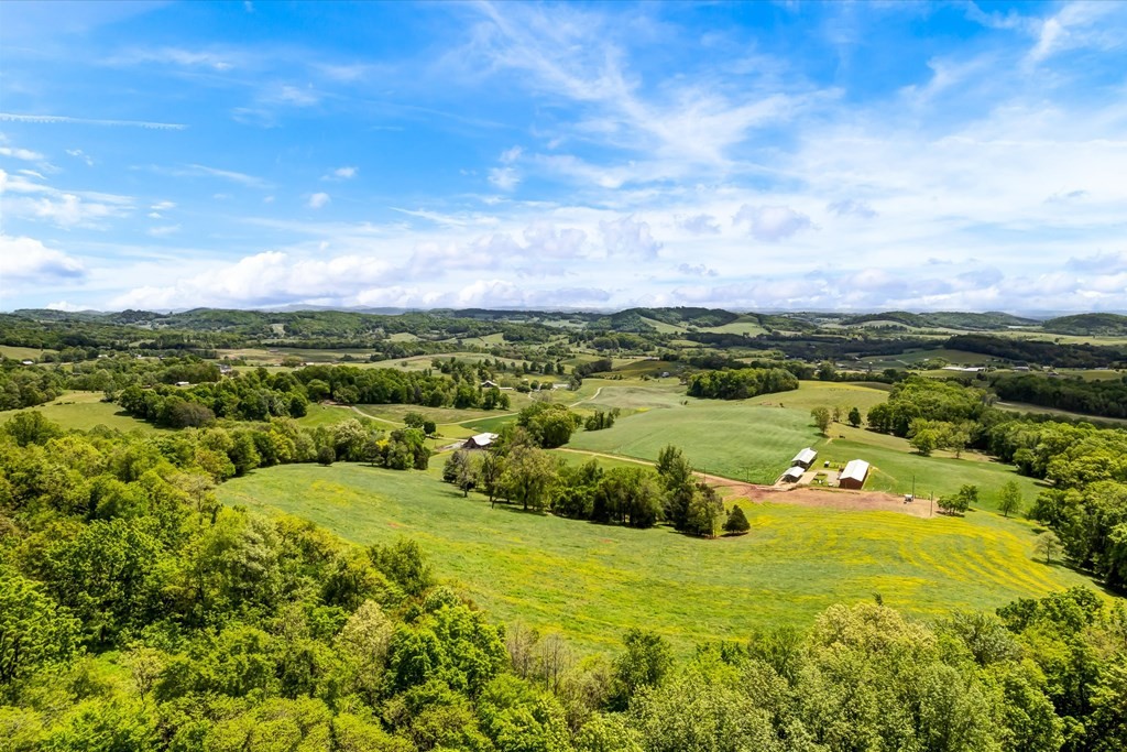 895 Manley Road Rutledge, TN 37861 - Photo 60 of 71 Gallery Image 60