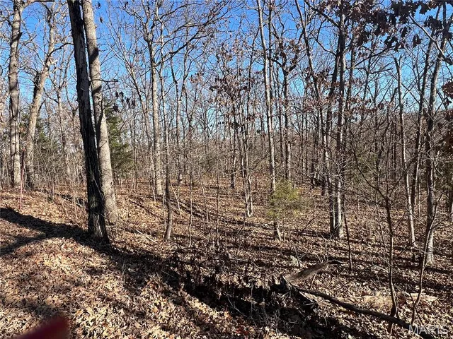 $50,500 | Tbd Thong Tree Road, Camdenton, MO 65020
