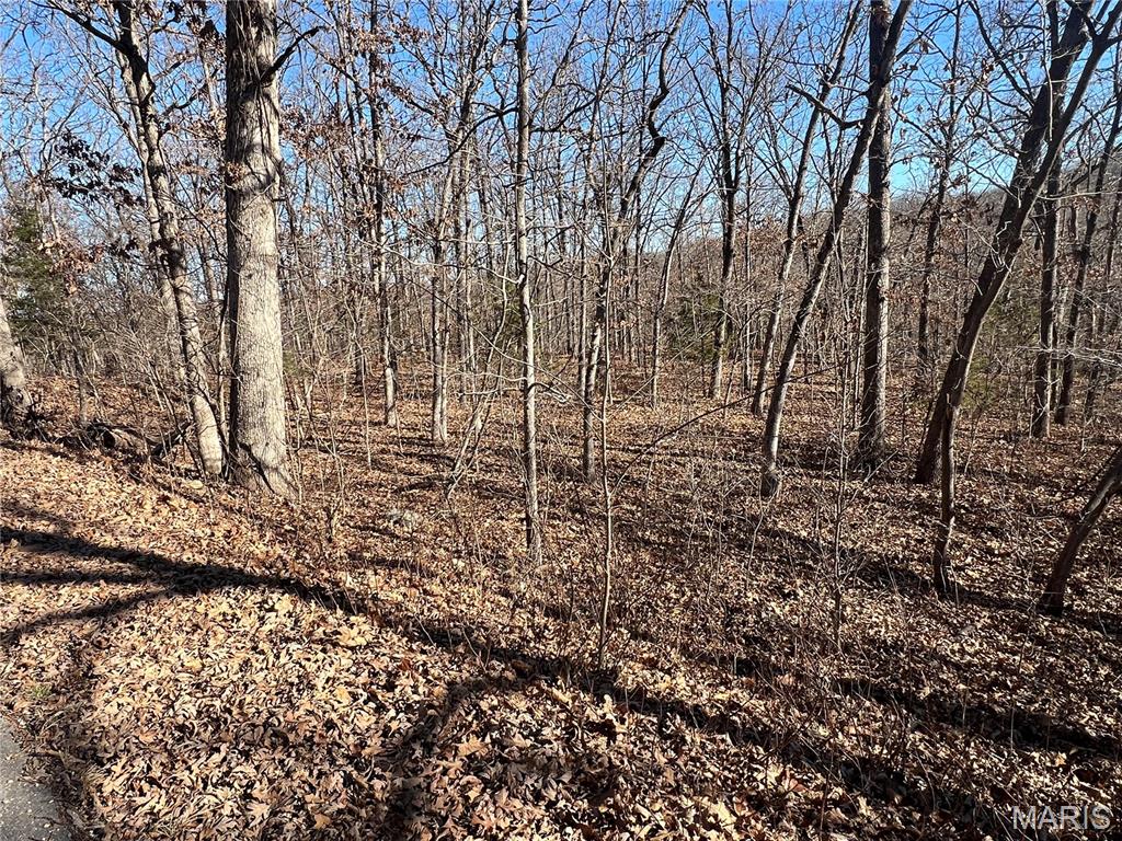 Tbd Thong Tree Road Camdenton, MO 65020 - Photo 2 of 2