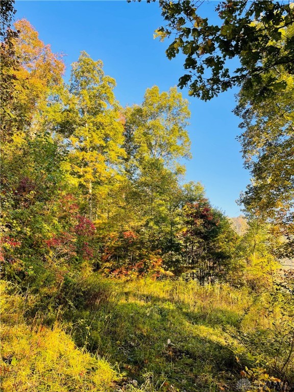 0 State Road McArthur, OH 45651 - Photo 4 of 7
