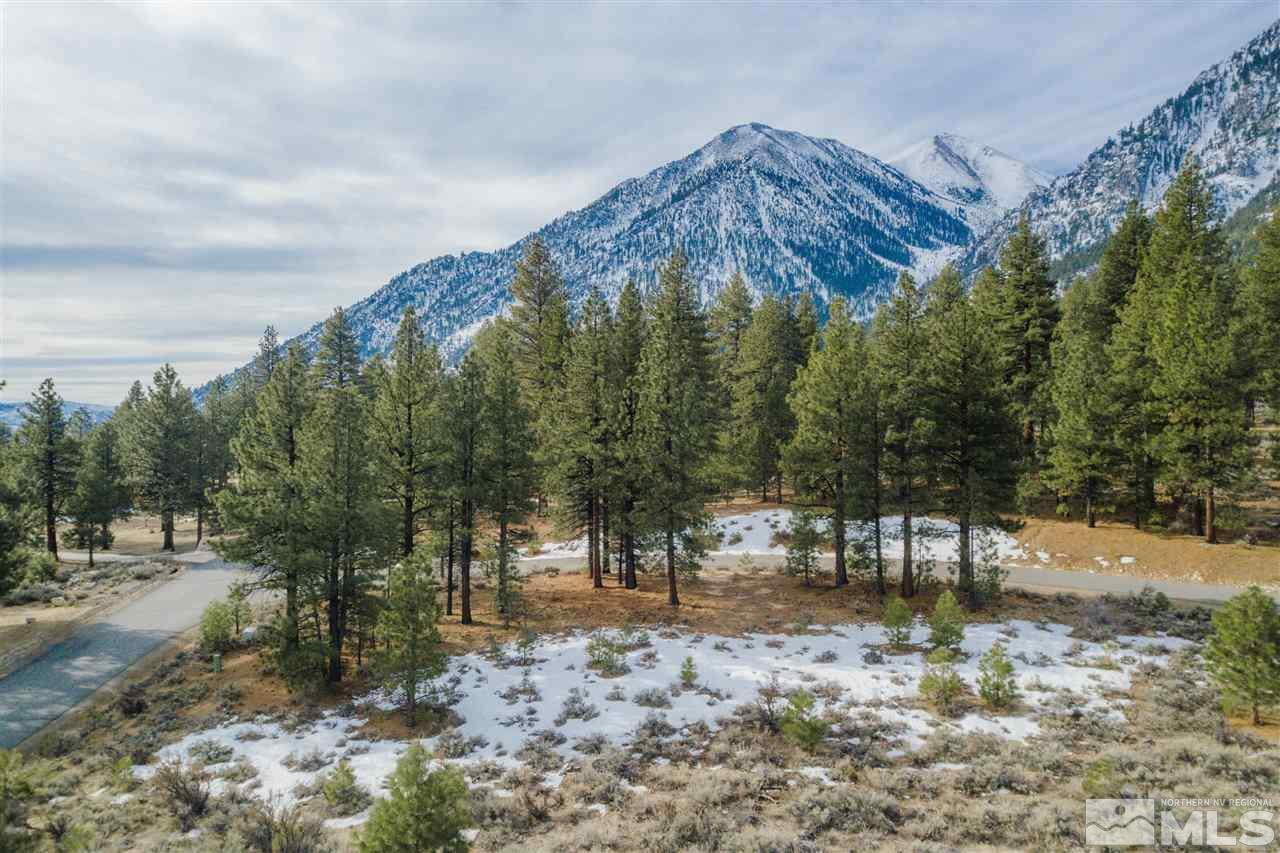 200 Summit Ridge Way Gardnerville, NV 89460 - Photo 20 of 21 Photo 20