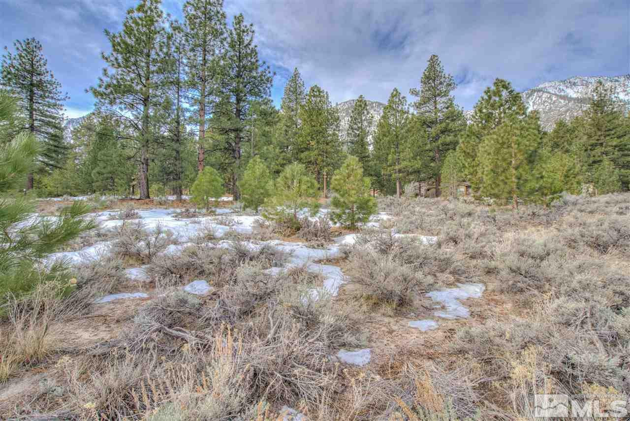 200 Summit Ridge Way Gardnerville, NV 89460 - Photo 9 of 21 Photo 9