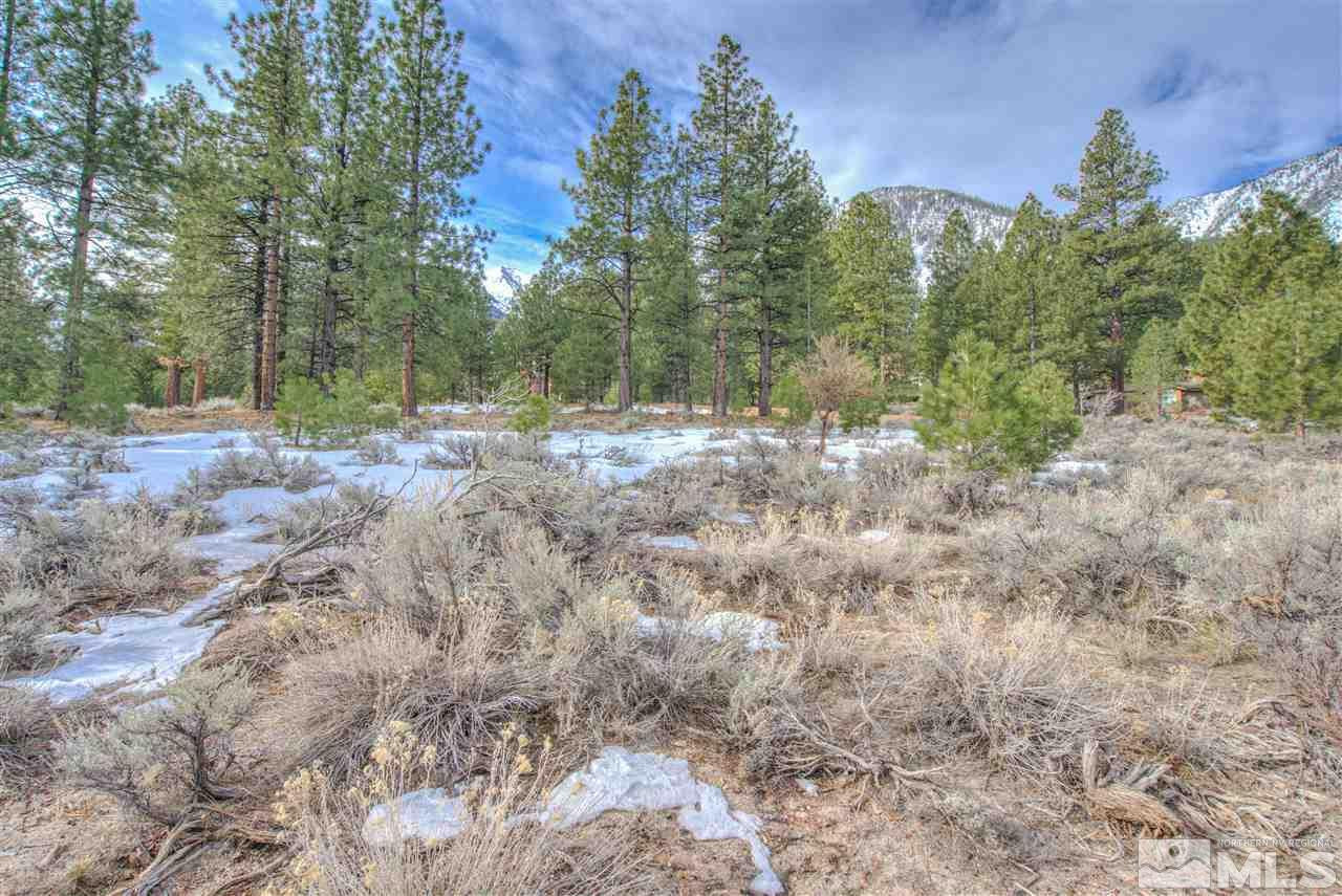 200 Summit Ridge Way Gardnerville, NV 89460 - Photo 10 of 21 Photo 10