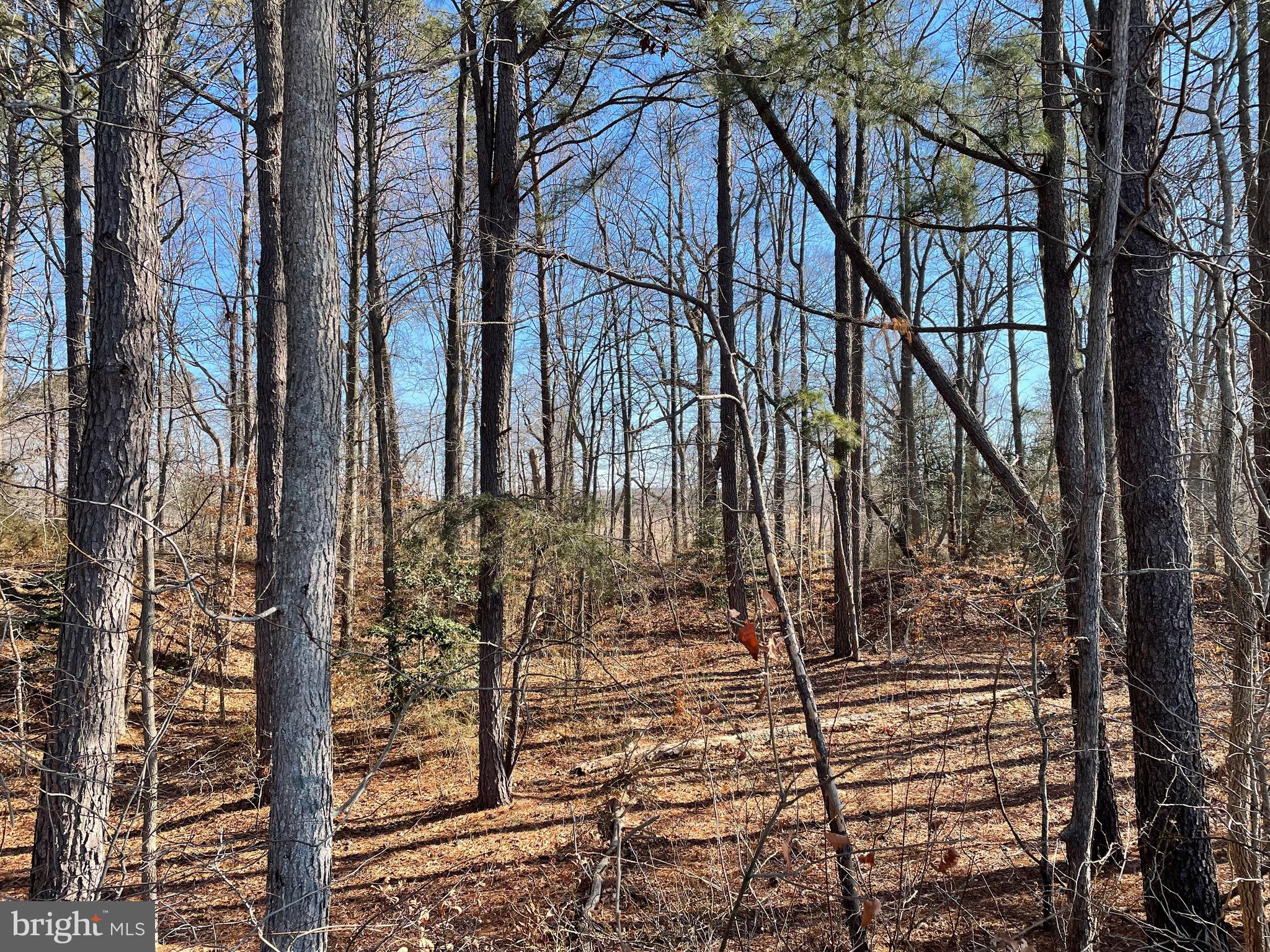 Beaver Dam Road Trappe, MD 21673 - Photo 14 of 17 a view of outdoor space