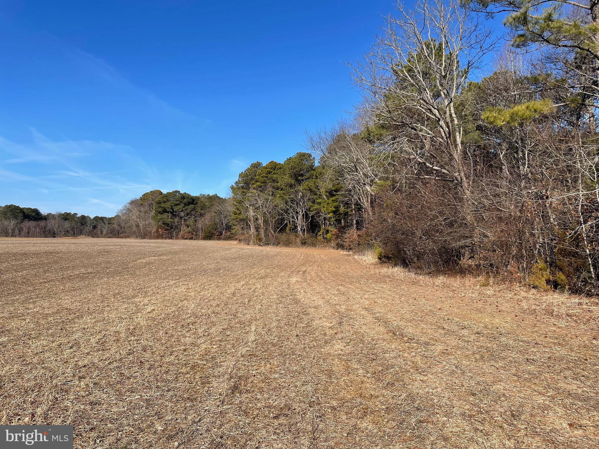 Beaver Dam Road Trappe, MD 21673 - Photo 16 of 17 a view of lake and mountain