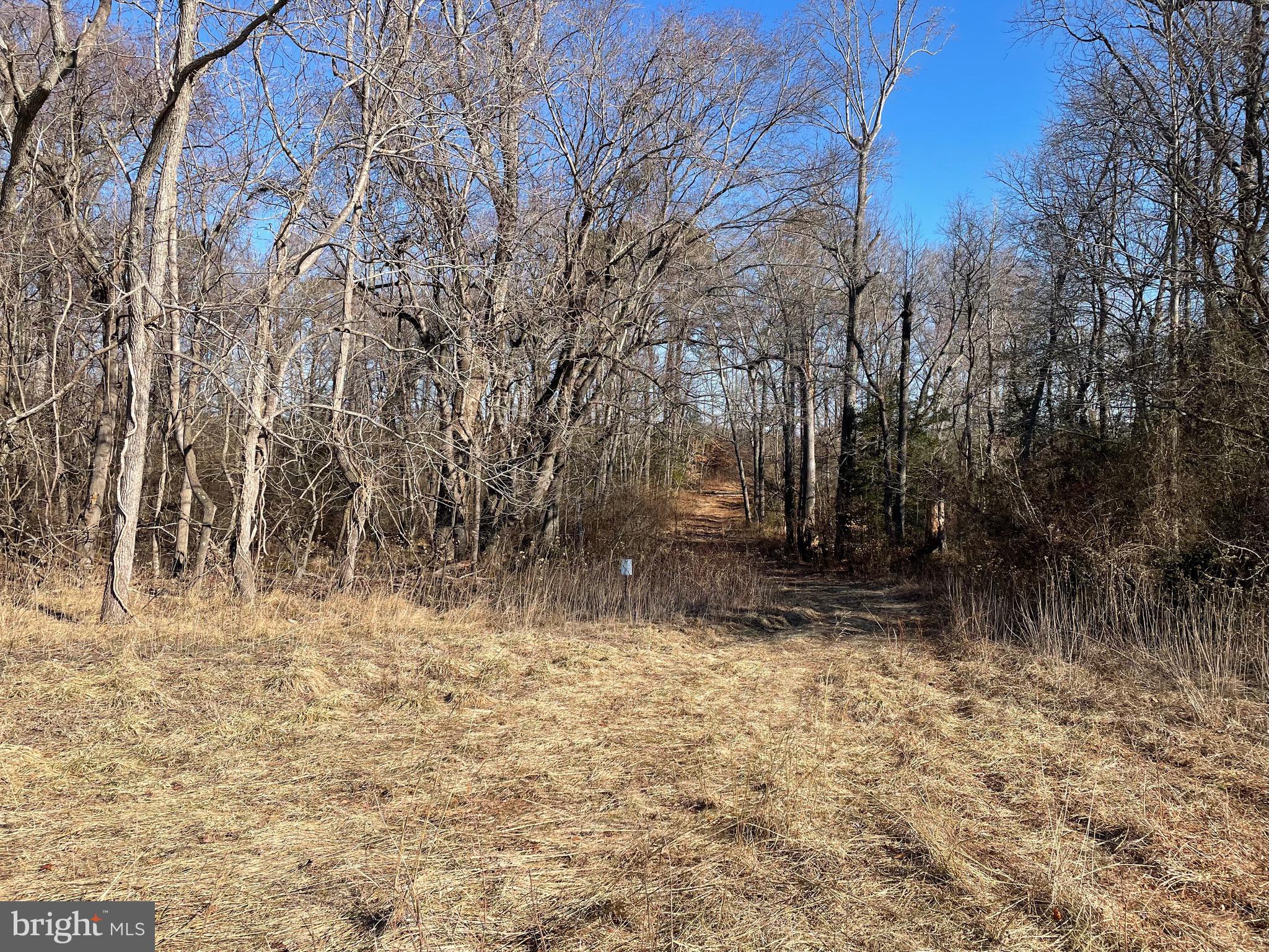 Beaver Dam Road Trappe, MD 21673 - Photo 5 of 17 a view of a yard with trees