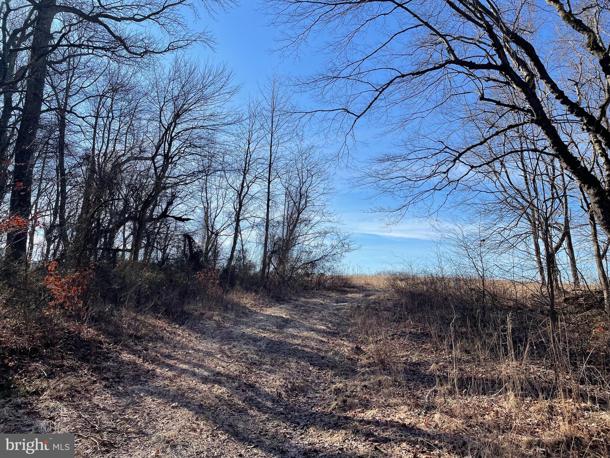 Beaver Dam Road Trappe, MD 21673 - Photo 9 of 17 a backyard of a house with lots of green space