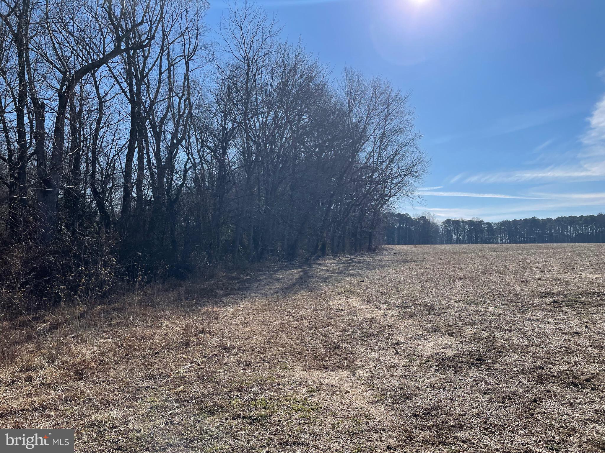 Beaver Dam Road Trappe, MD 21673 - Photo 10 of 17 a view of a yard