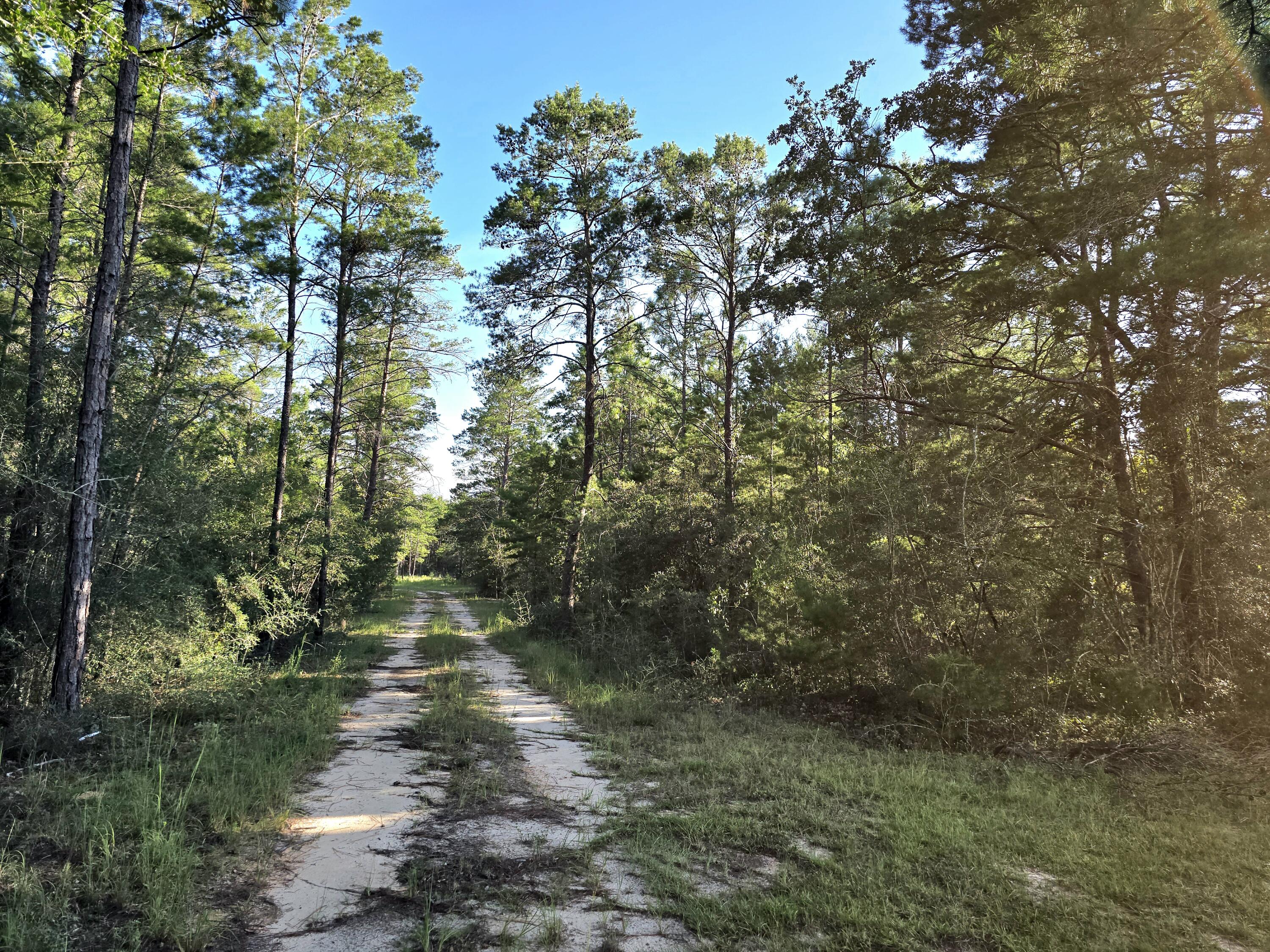 Tbd Randi Road Crestview, FL 32539 - Photo 7 of 10 1000131275