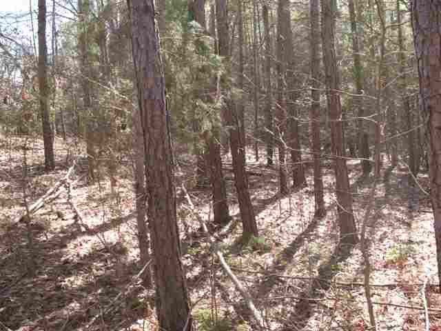 Lot 1 Cherry Street Pendleton, SC 29670 - Photo 3 of 9