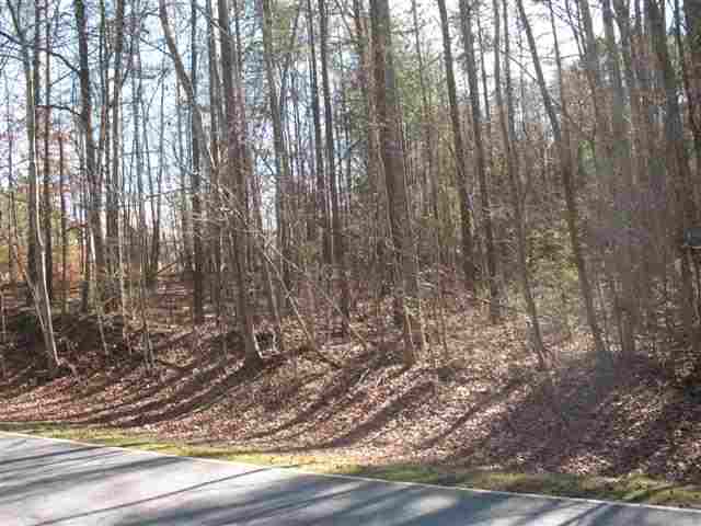 Lot 1 Cherry Street Pendleton, SC 29670 - Photo 8 of 9