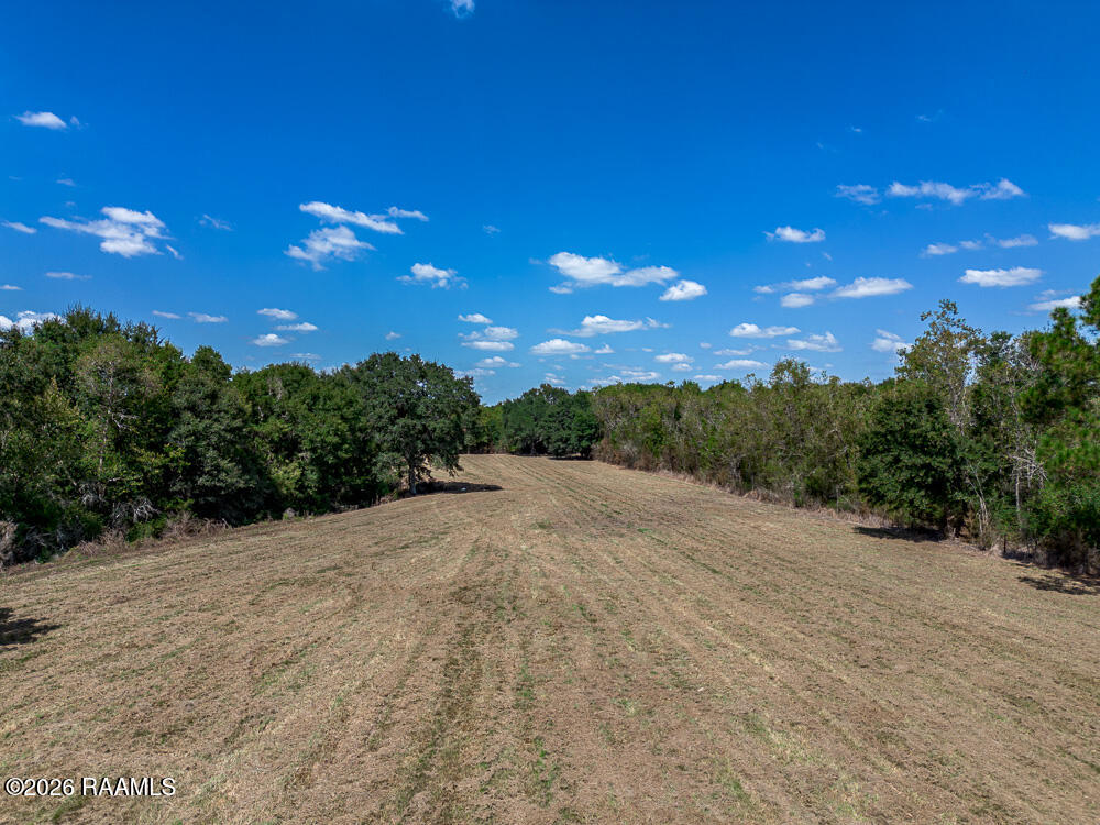 1275 Duplechin Road Church Point, LA 70525 - Photo 25 of 29 untitled-0035-hdr