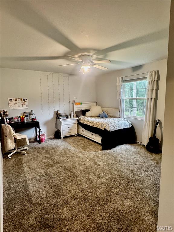 1330 Deer Creek Road Greenville, IL 62246 - Photo 31 of 55