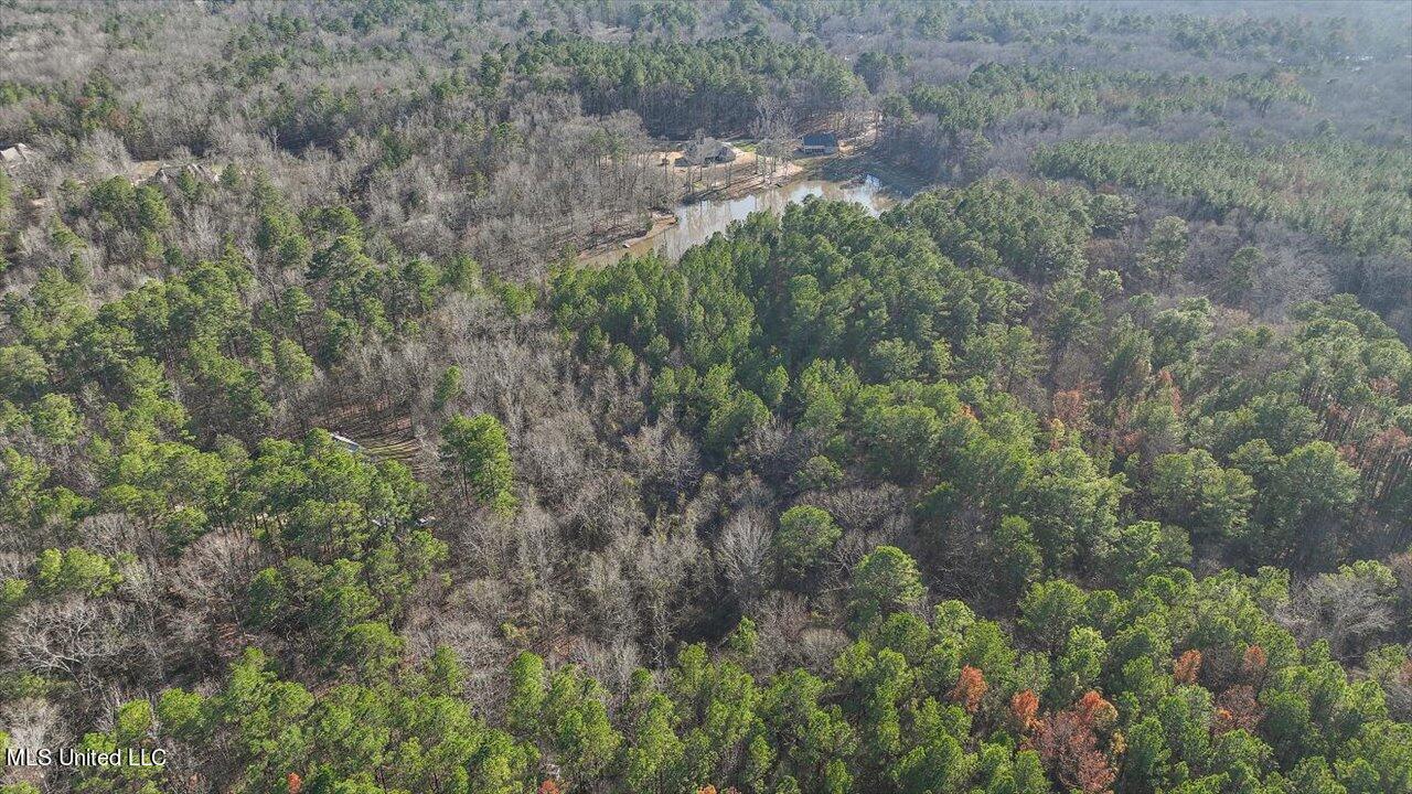 1074 Ridgeside Drive Brandon, MS 39042 - Photo 10 of 30 13-1074 Ridgeside Dr