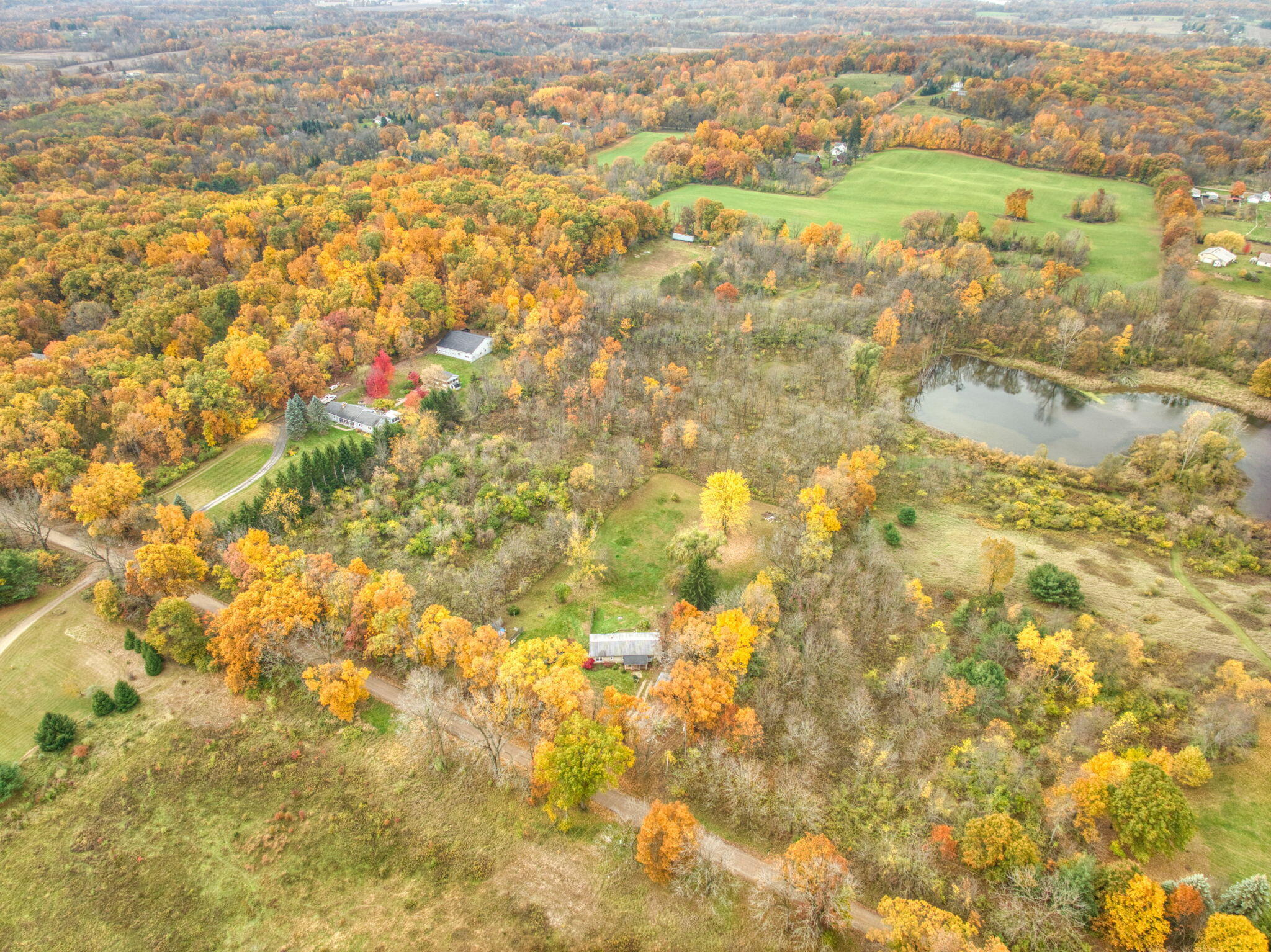 14600 Tracey Road Manchester, MI 48158 - Photo 14 of 21 15-web-or-mls-DJI_0391