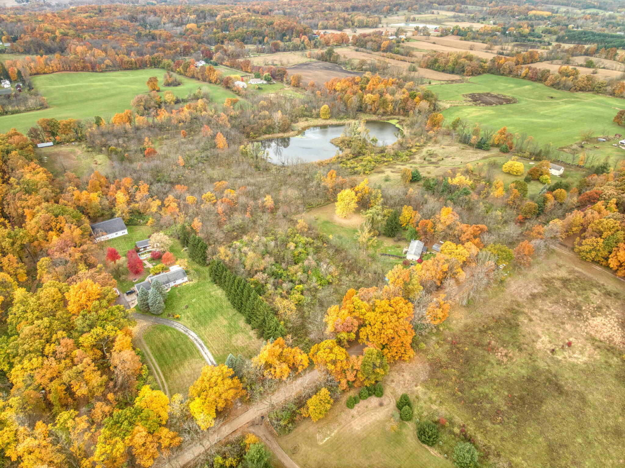 14600 Tracey Road Manchester, MI 48158 - Photo 15 of 21 16-web-or-mls-DJI_0396