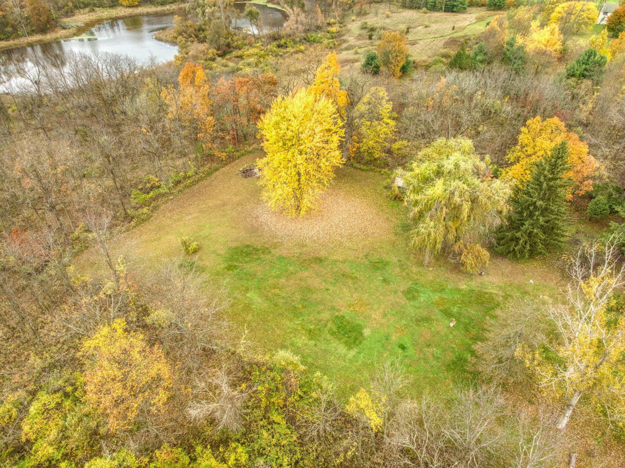 14600 Tracey Road Manchester, MI 48158 - Photo 18 of 21 24-web-or-mls-DJI_0436