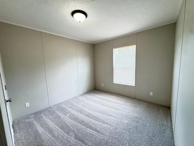 1670 Goodfield Road Decatur, TN 37322 - Photo 24 of 39 IMG_1852