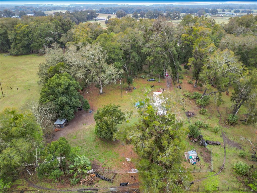 12379 Northeast 7th Avenue Citra, FL 32113 - Photo 27 of 30