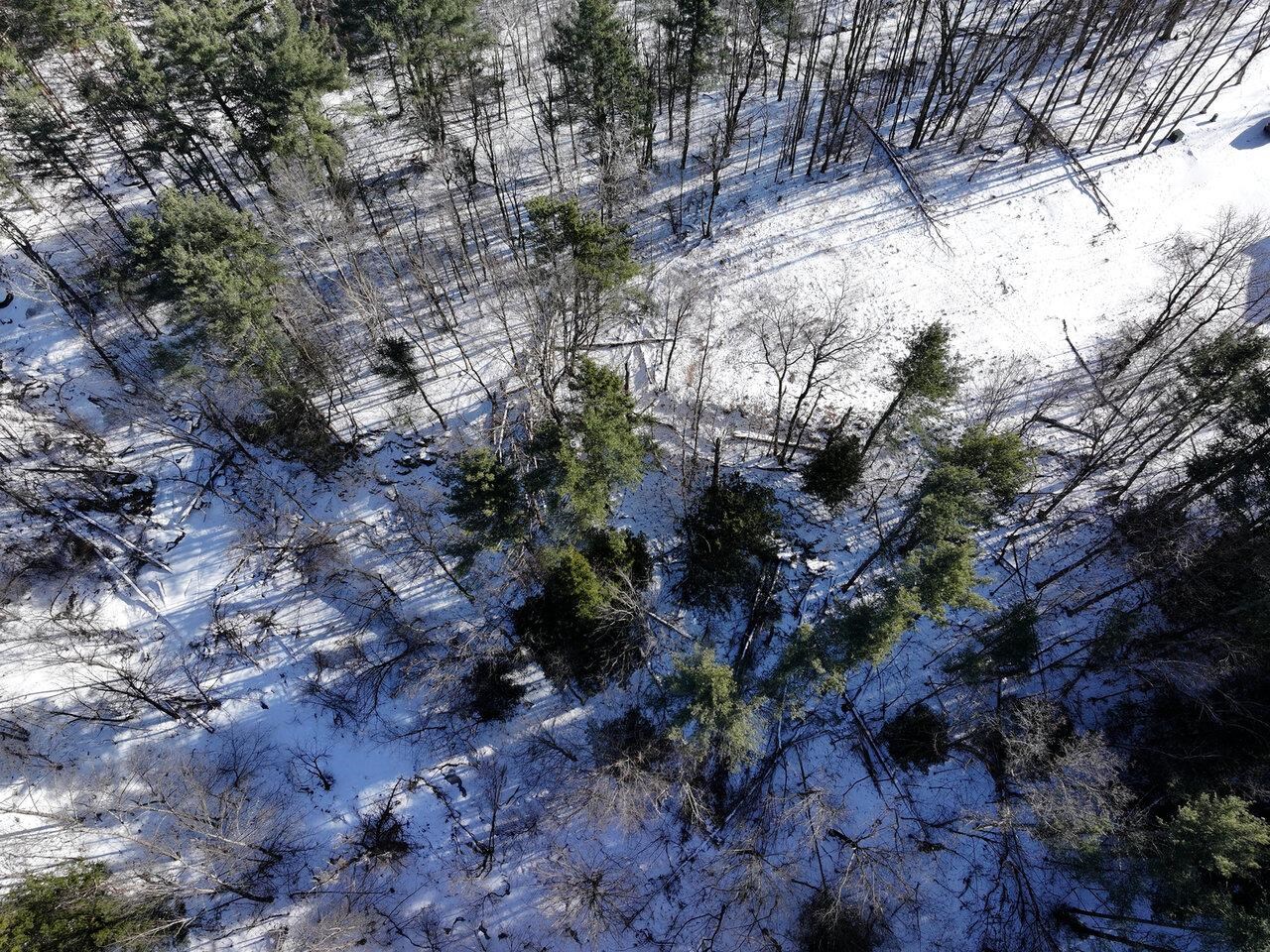 88 Susie Wilson Road Essex, VT 05452 - Photo 8 of 34