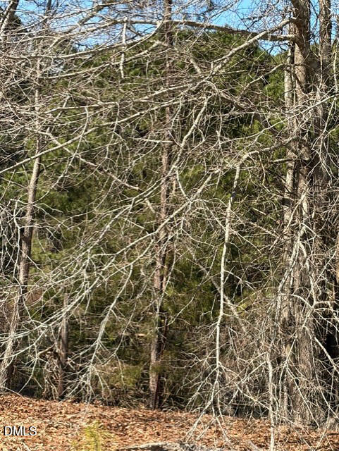 1880 Clayhole Road Dunn, NC 28334 - Photo 4 of 7 6.1