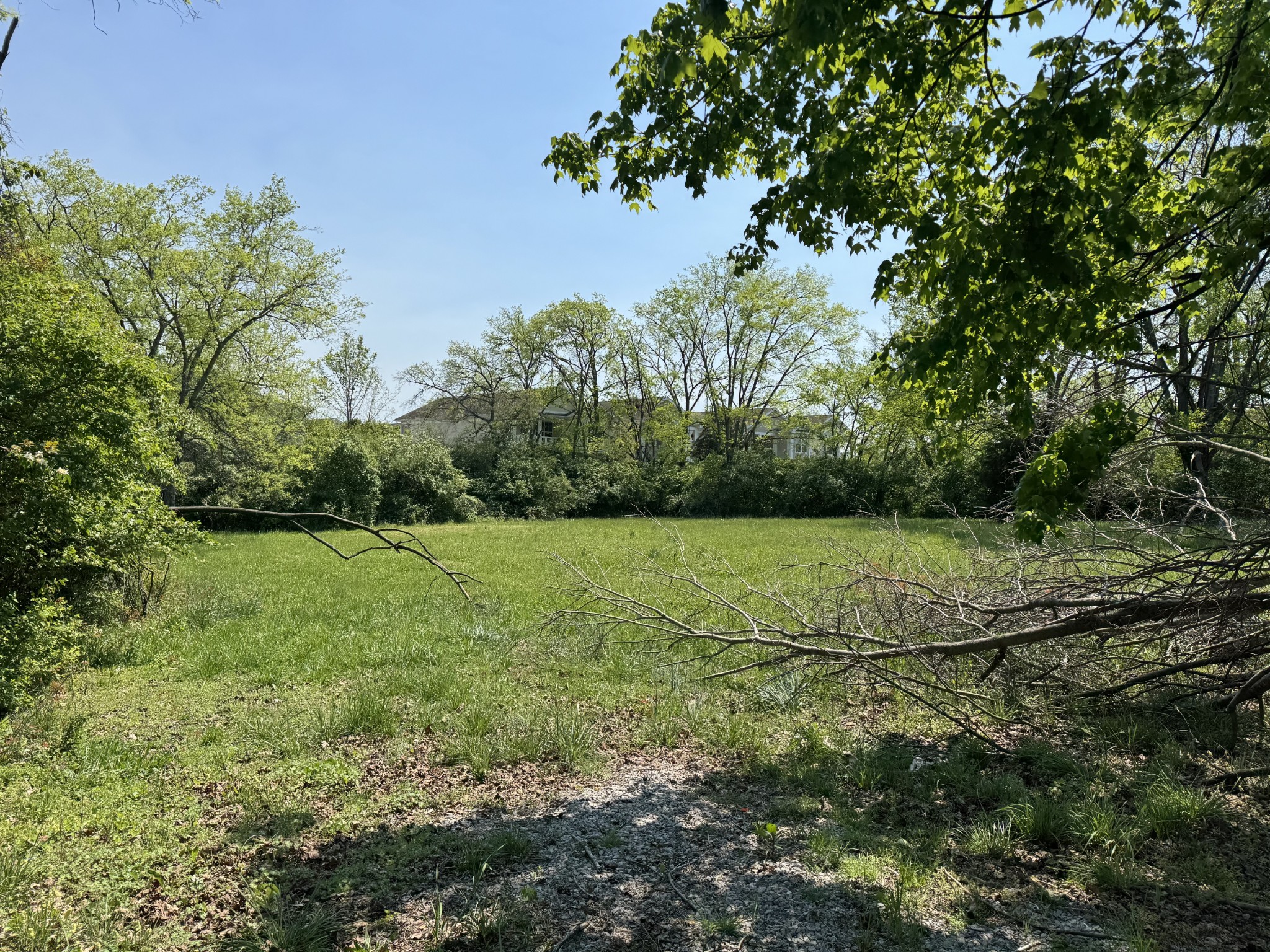 223 Walton Ferry Road Hendersonville, TN 37075 - Photo 6 of 7