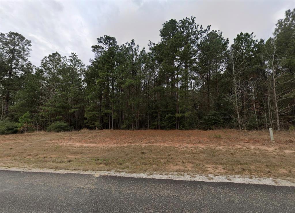 235 Texas Grand Road Huntsville, TX 77340 - Photo 2 of 5