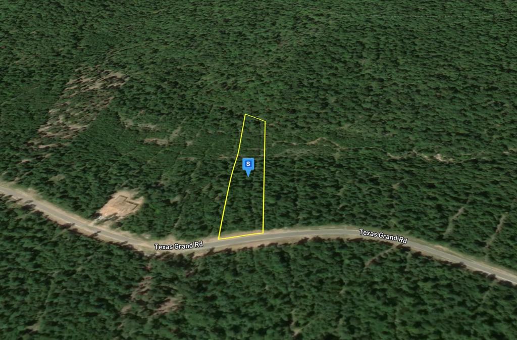 235 Texas Grand Road Huntsville, TX 77340 - Photo 3 of 5