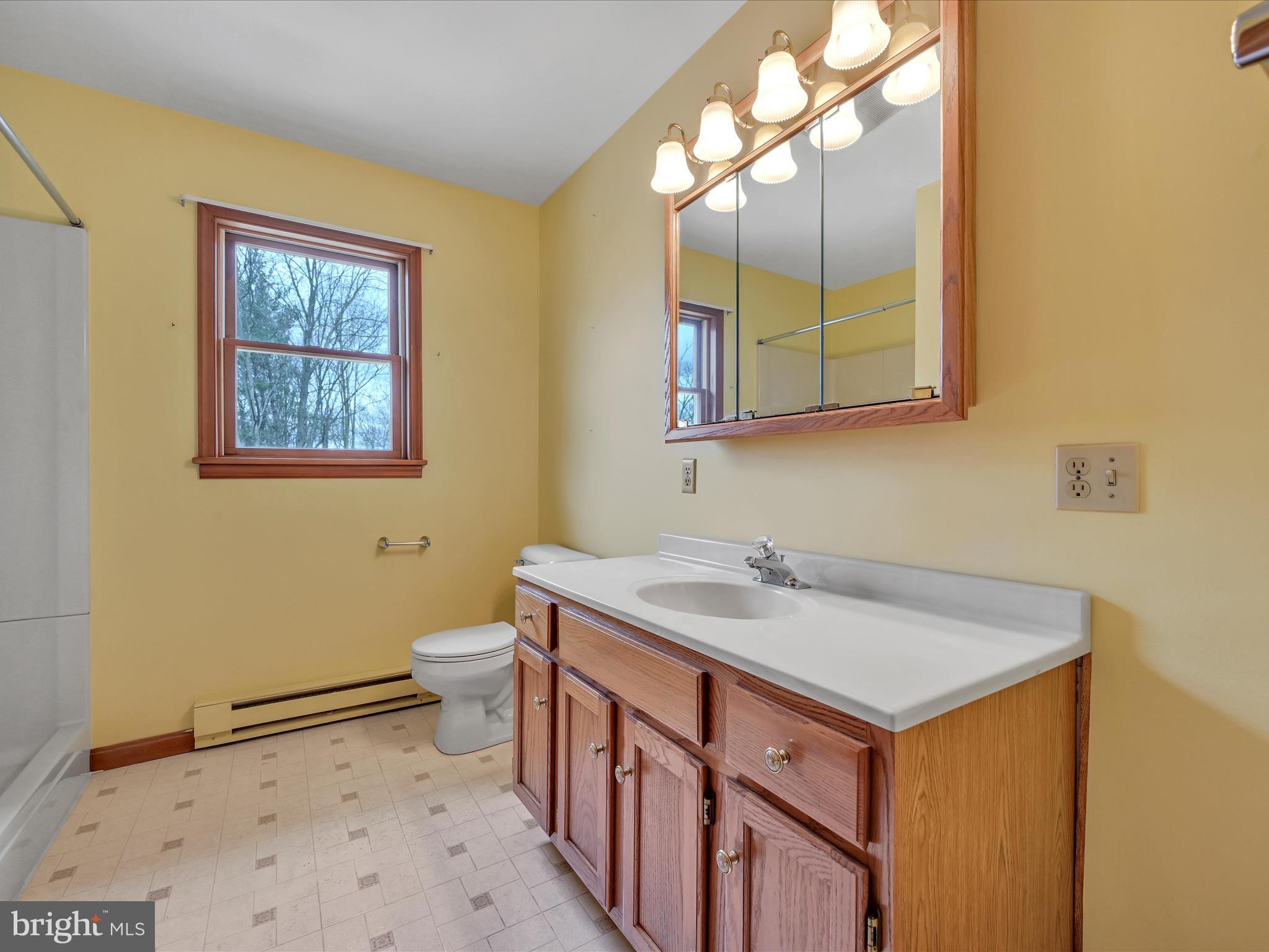 64 Nut Grove Road Pine Grove, PA 17963 - Photo 19 of 42 Primary Bathroom