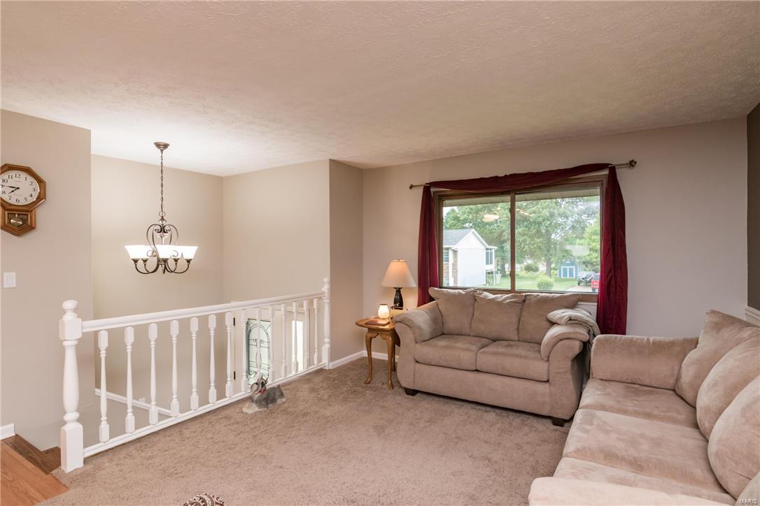911 Long Branch Road Troy, IL 62294 - Photo 3 of 30 Gallery Image 3