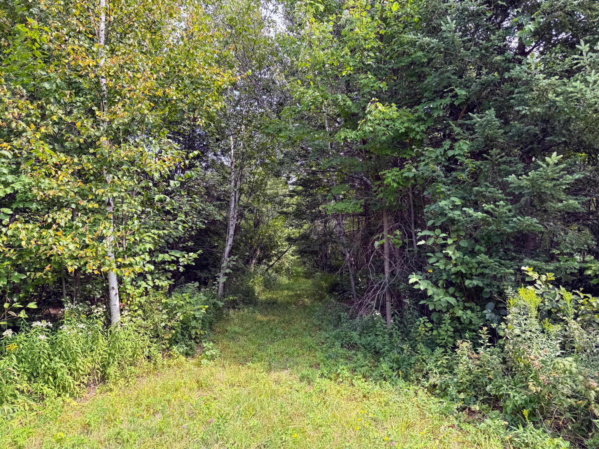 N5402 Aspen Road Brantwood, WI 54513 - Photo 15 of 27 Gallery Image 15
