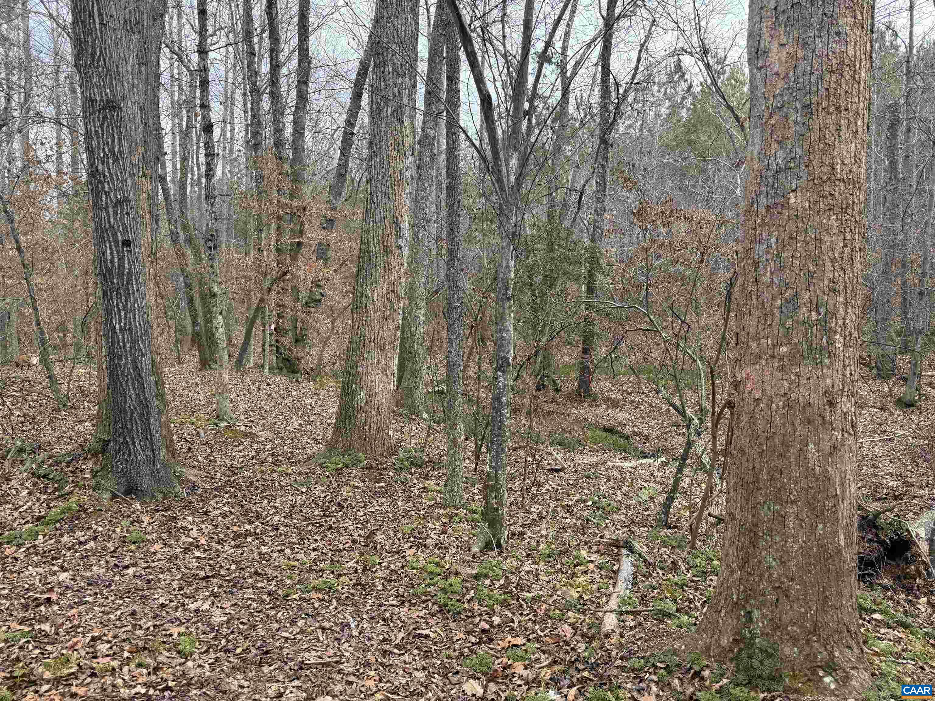 2 Hardware Road Arvonia, VA 23004 - Photo 12 of 17