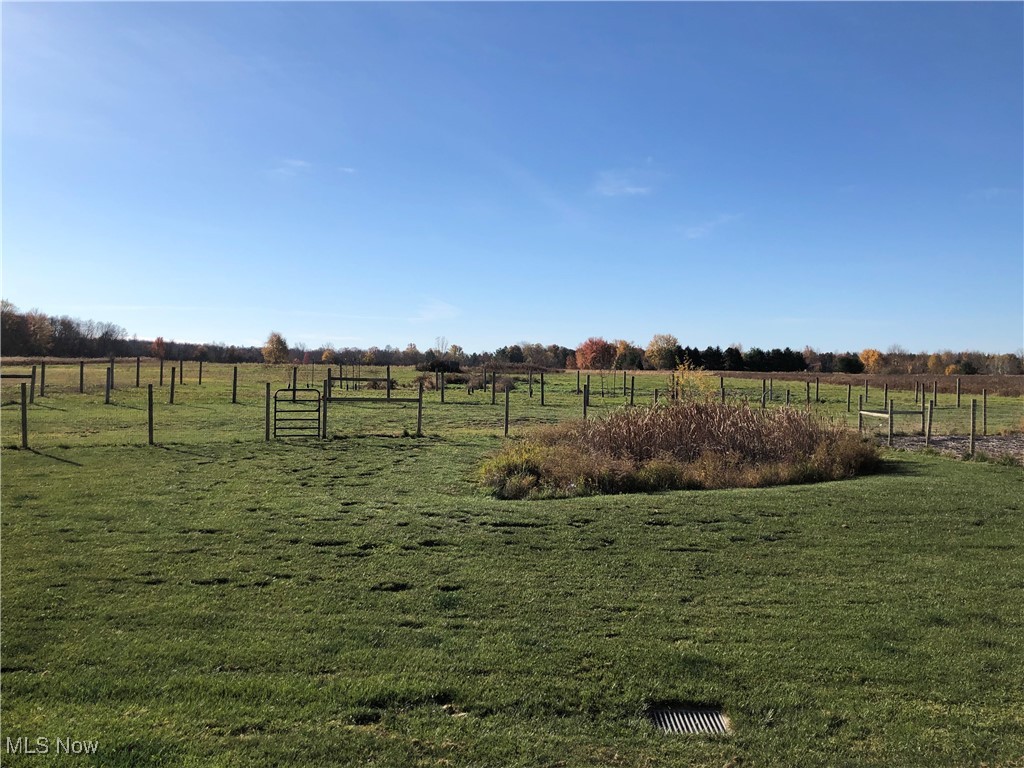 12908 Smith Road Wellington, OH 44090 - Photo 4 of 4 View of yard with a rural view