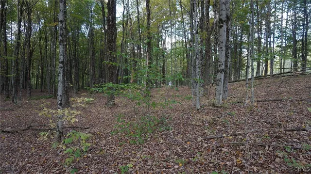 $69,900 | 0 Mc Caw Road, Redfield, NY 13437