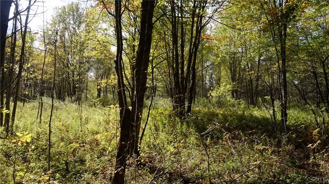 $69,900 | 0 Mc Caw Road, Redfield, NY 13437