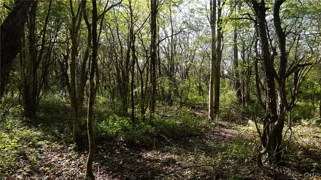 $69,900 | 0 Mc Caw Road, Redfield, NY 13437