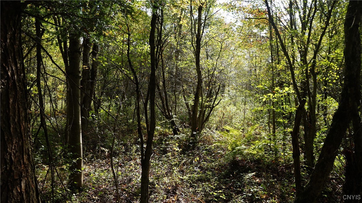 0 Mc Caw Road Redfield, NY 13437 - Photo 14 of 30