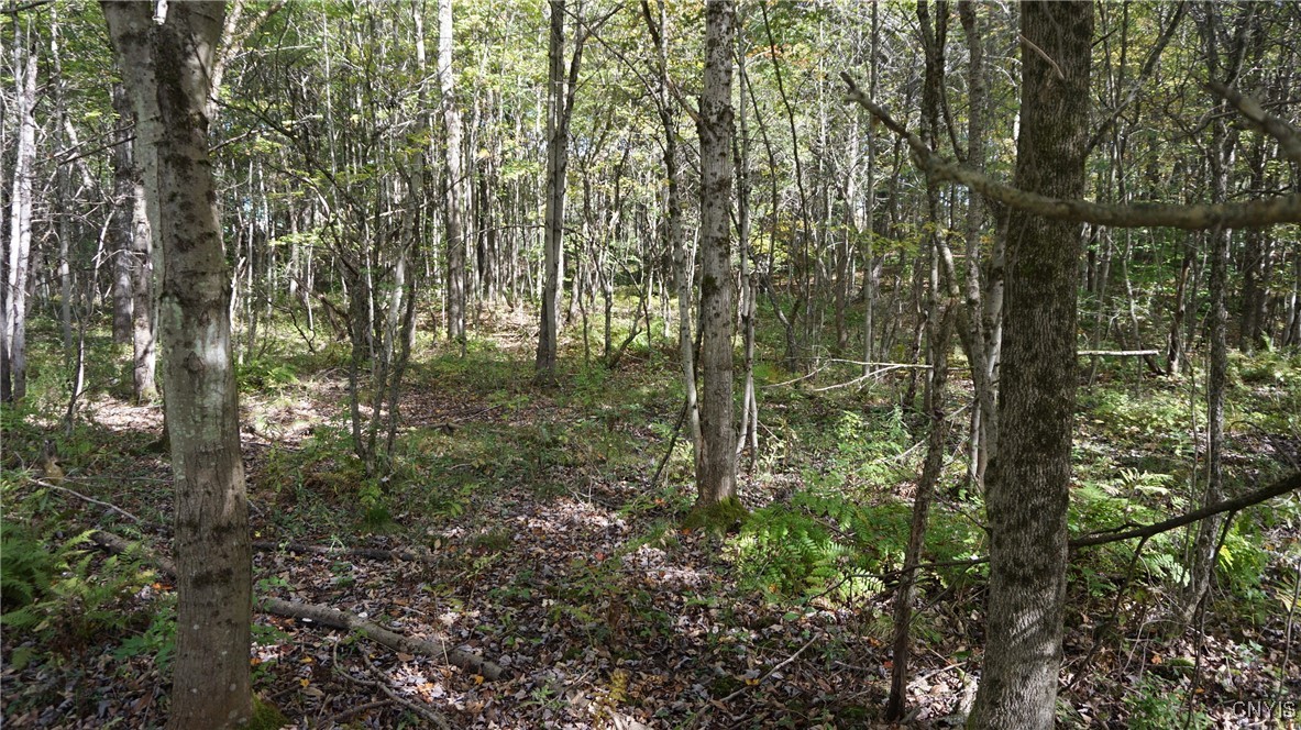 0 Mc Caw Road Redfield, NY 13437 - Photo 15 of 30